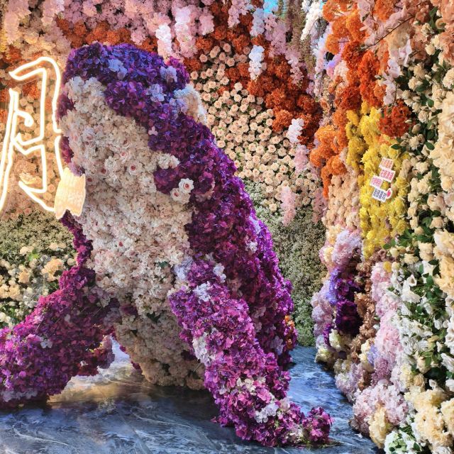昆明海趣花都海洋世界旅行图片 6