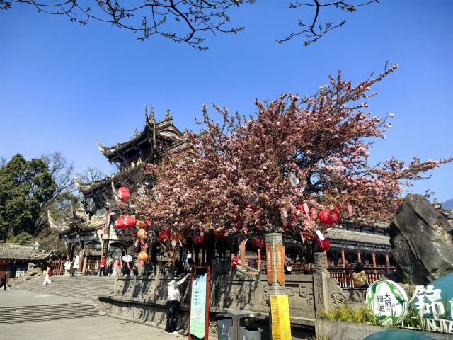 都江堰景区旅行图片 3