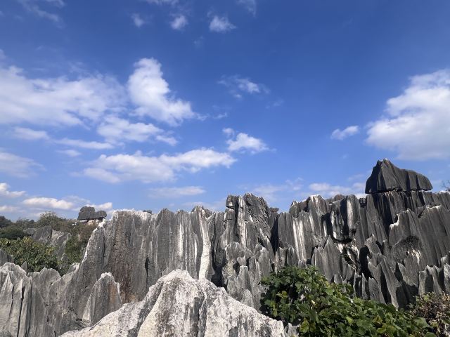 石林风景区旅行图片 1