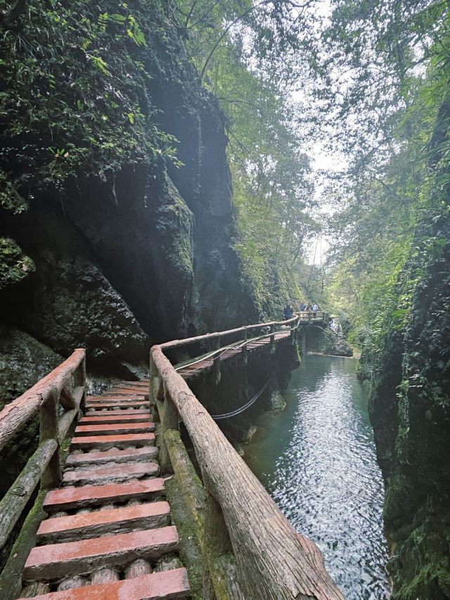 青城山景区旅行图片 3