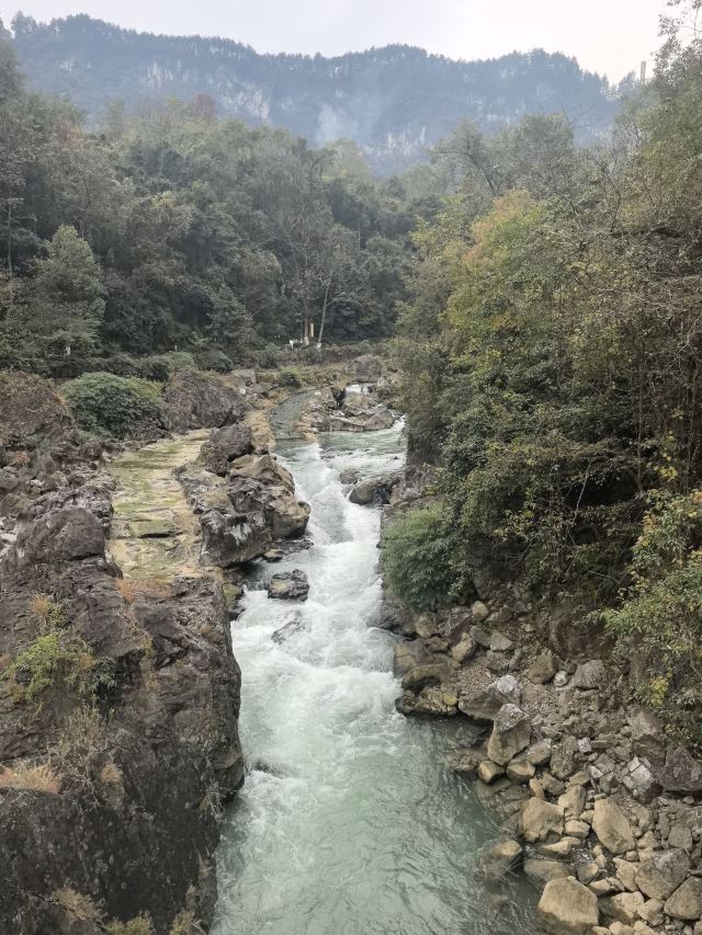 南江大峡谷景区旅行图片 7