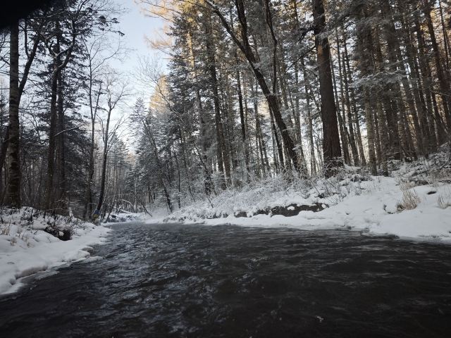 长白山西麓白溪全域漂流风景区旅行图片 3