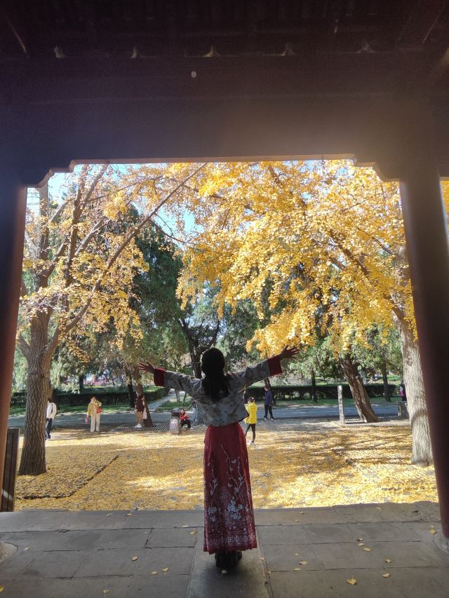 岱庙旅行图片 2