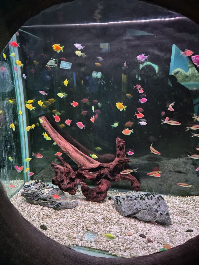 广汉海昌海洋探索馆旅行图片 1