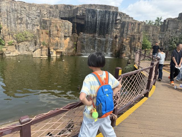 海南热带野生动植物园旅行图片 1