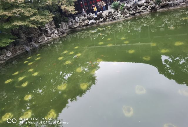 何园旅行图片 1