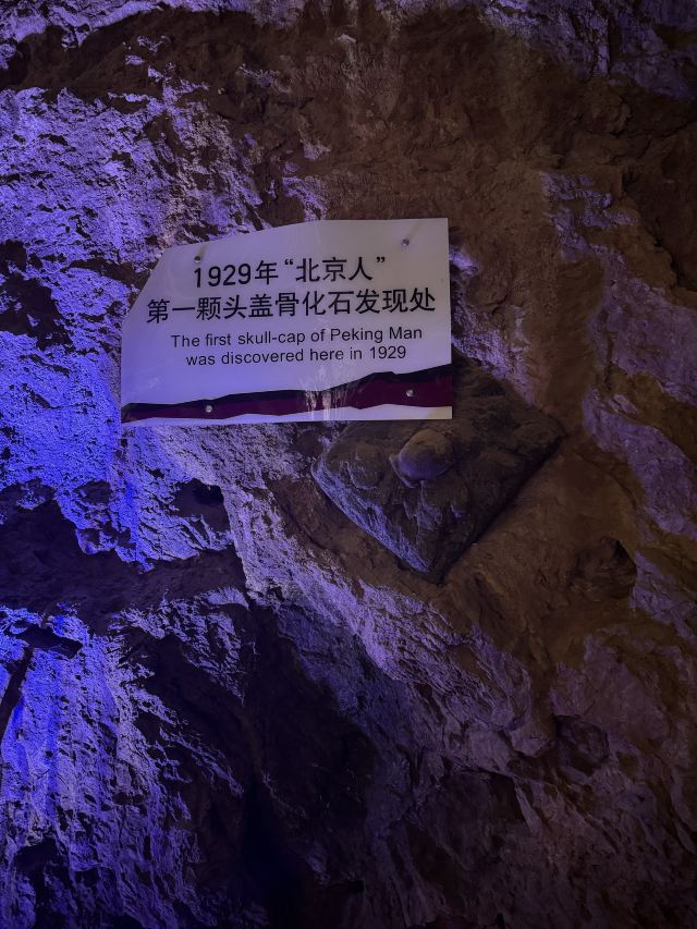 周口店遗址博物馆旅行图片 2