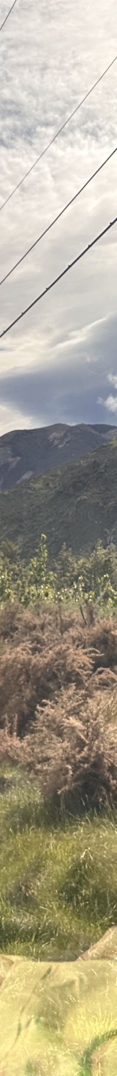 高山观景火车之旅-基督城-99mm