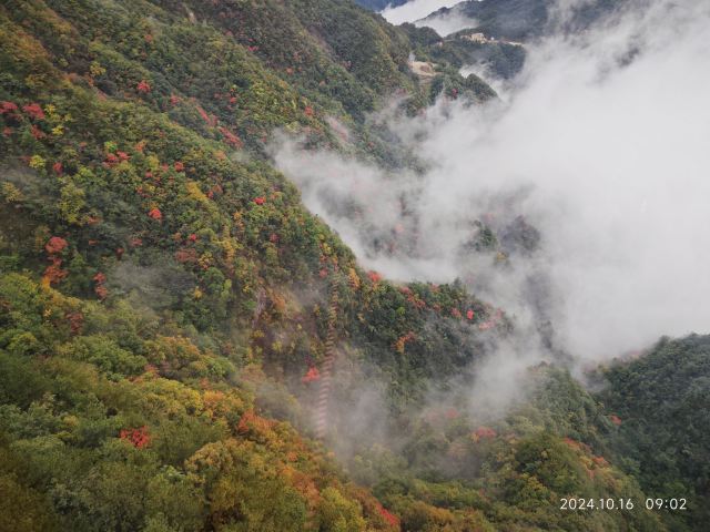 天岳幕阜山森林公园旅行图片 1