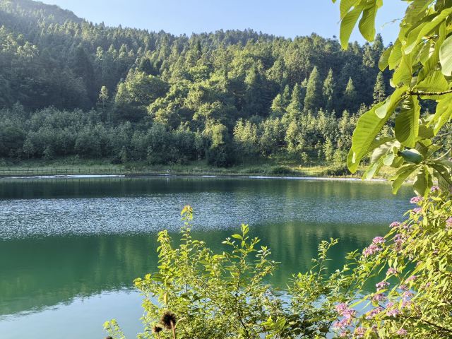 武陵山国家森林公园旅行图片 3