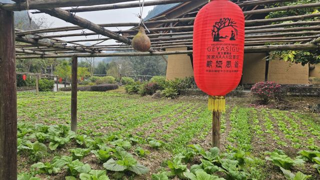 瑶望天下景区旅行图片 9