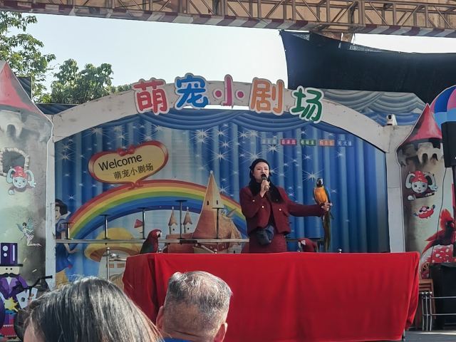 音乐·百花谷旅行图片 7