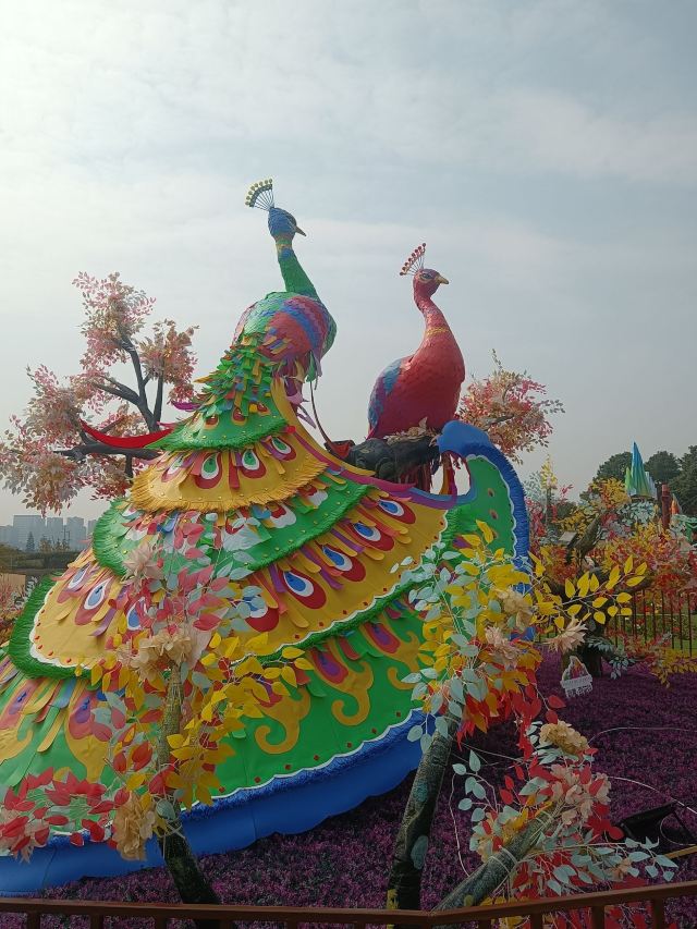 音乐·百花谷旅行图片 2