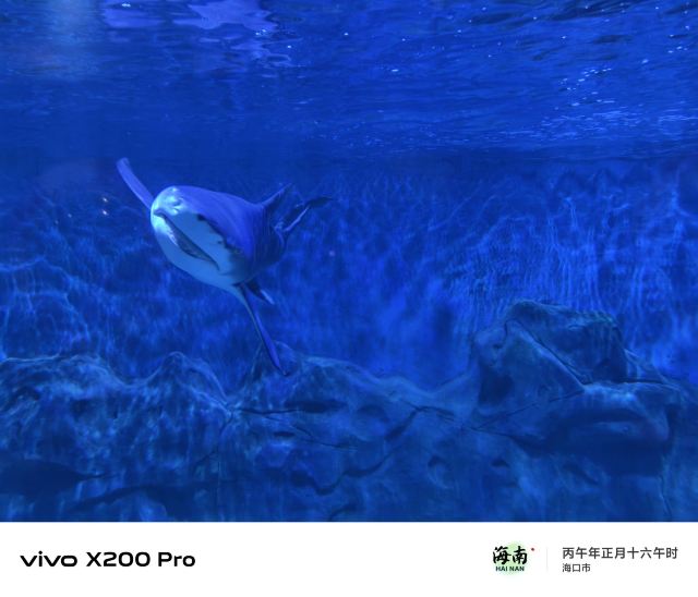 海之语海洋世界旅行图片 4