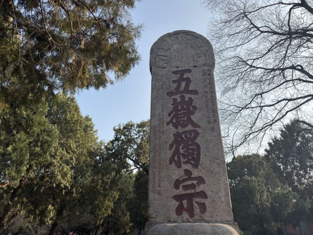 岱庙旅行图片 1