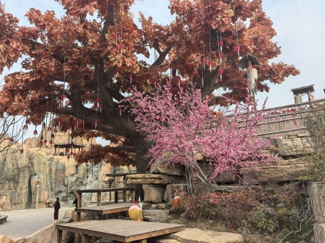 琅琊古城旅行图片 3