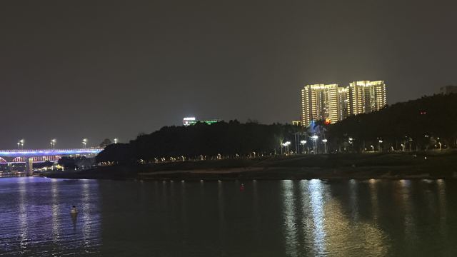 邕江夜游旅行图片 6
