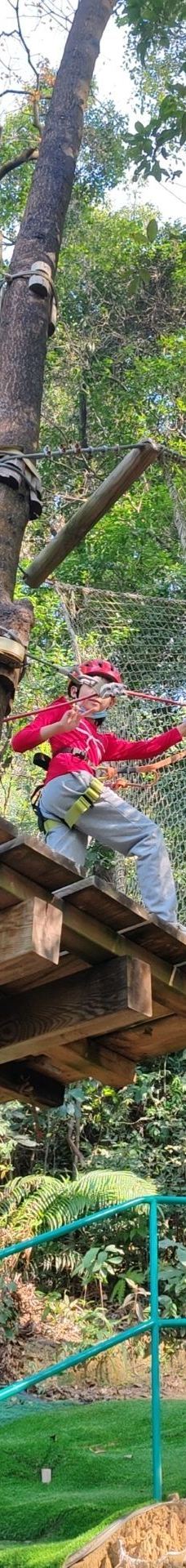 天鹿湖森林公园-广州-cxh19841123