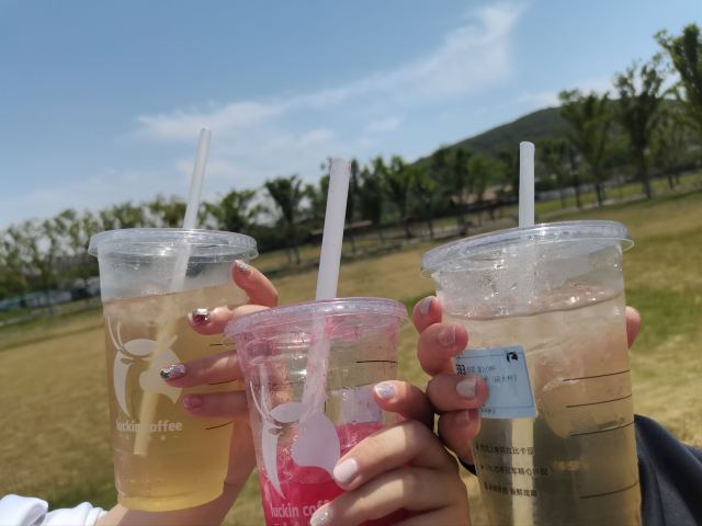 孔望山旅行图片 9