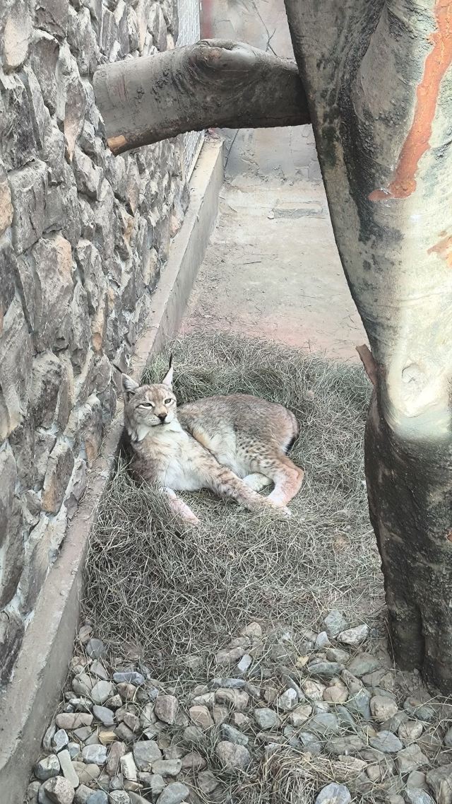 西宁野生动物园旅行图片 3
