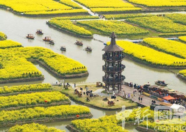千垛景区旅行图片 2