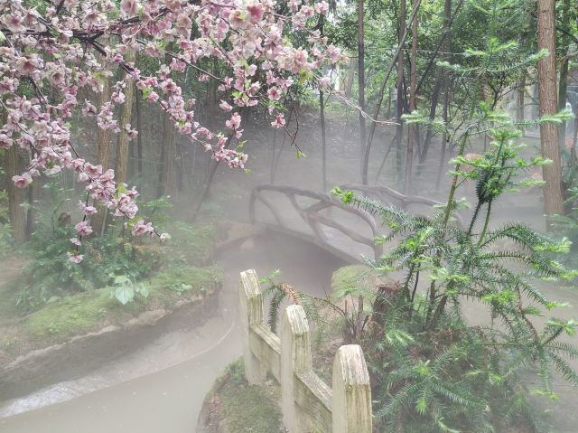 杉木湖景区旅行图片 1