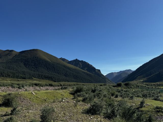 山丹皇家马场景区(暂停开放)旅行图片 1
