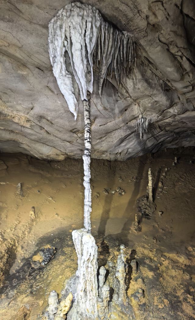 荔波酷玩森林旅行图片 4