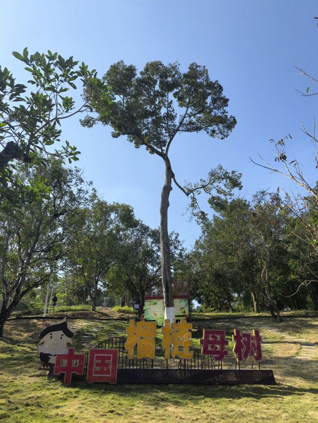 七仙岭全球热带水果博览中心旅行图片 5