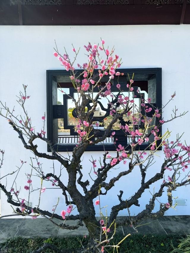 蠡园旅行图片 2