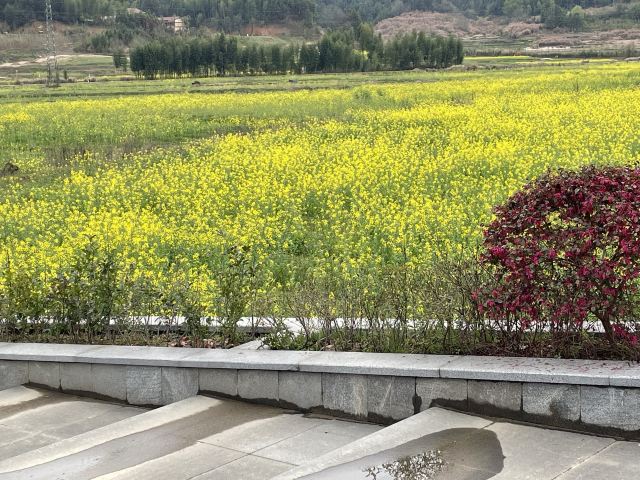 江西野狼谷景区旅行图片 3