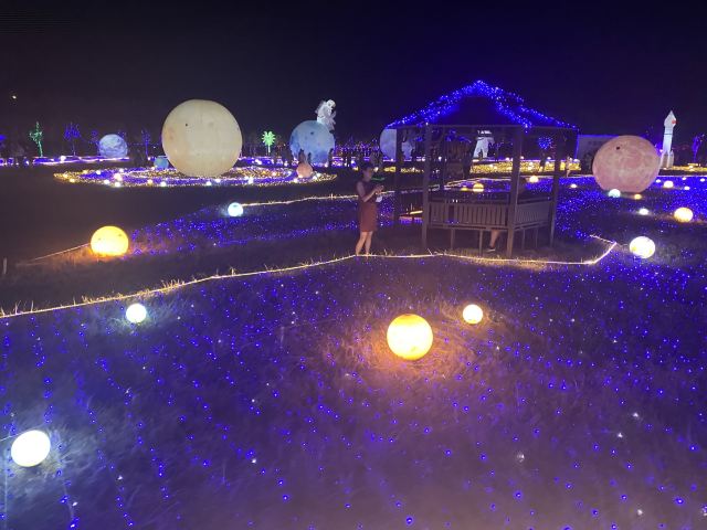 上海崇明荷花博览园旅行图片 3