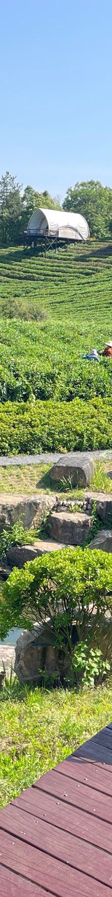 下渚湖·湿地公园-德清-YoYo_4Y0I0X1Q