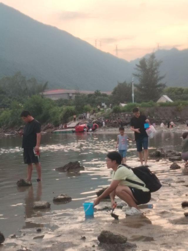 碧海湾景区旅行图片 9