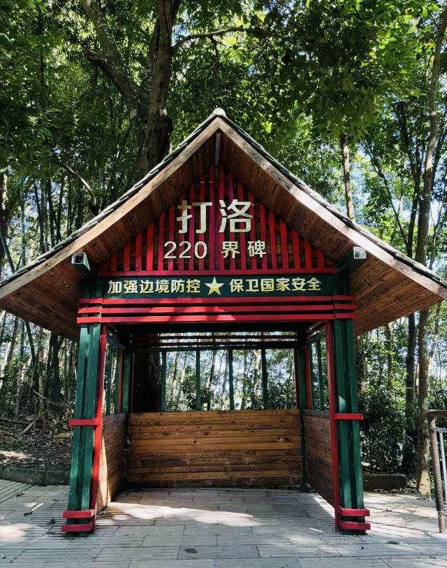 西双版纳独树成林景区旅行图片 2