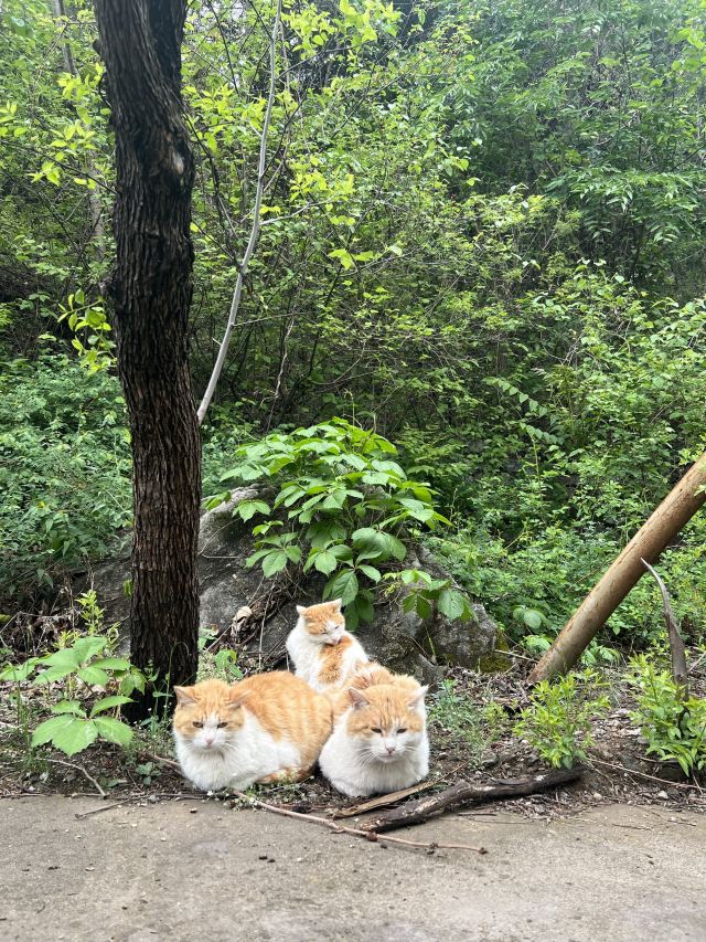 北京圣泉山旅游风景区旅行图片 3