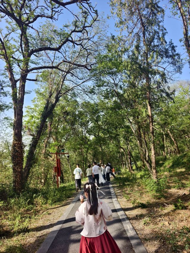 第一山景区旅行图片 6