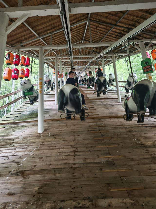 云上草原七星谷旅行图片 3