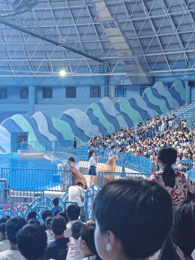 徐州欧乐堡海洋极地世界旅行图片 5