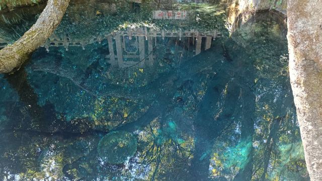 蝴蝶泉旅行图片 3