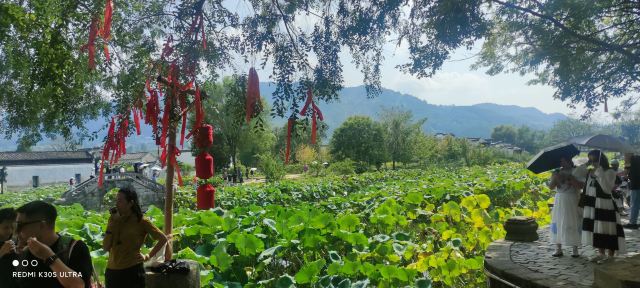 古徽州文化旅游区旅行图片 6