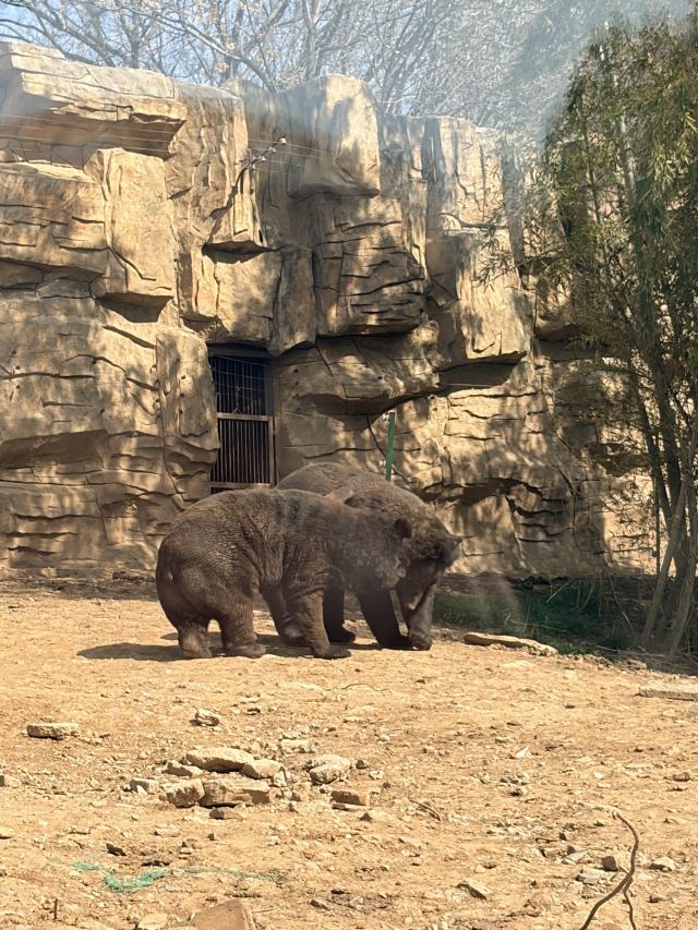 南京珍珠泉风景区旅行图片 1