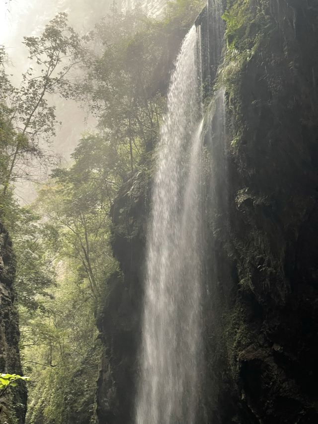 武隆喀斯特旅游区旅行图片 1