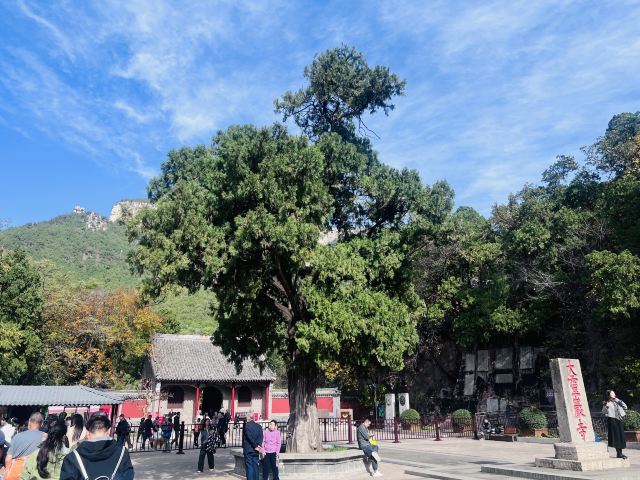 灵岩寺景区旅行图片 1