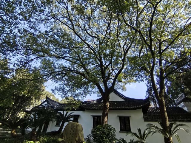 啬园旅行图片 4