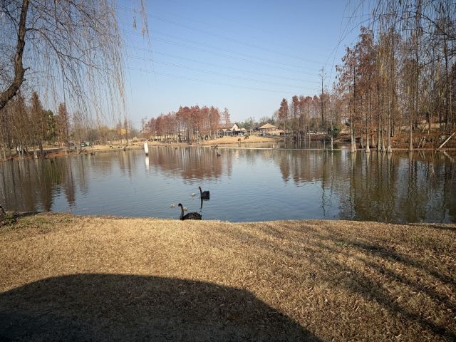 南通森迪旅游度假区旅行图片 4