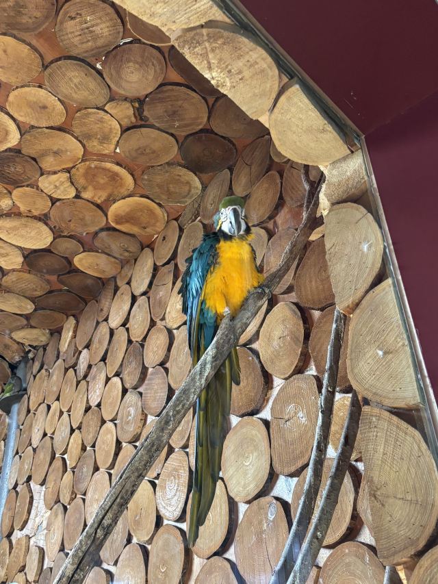 太原动物园旅行图片 1