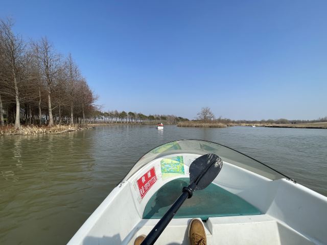上海东滩湿地公园旅行图片 1