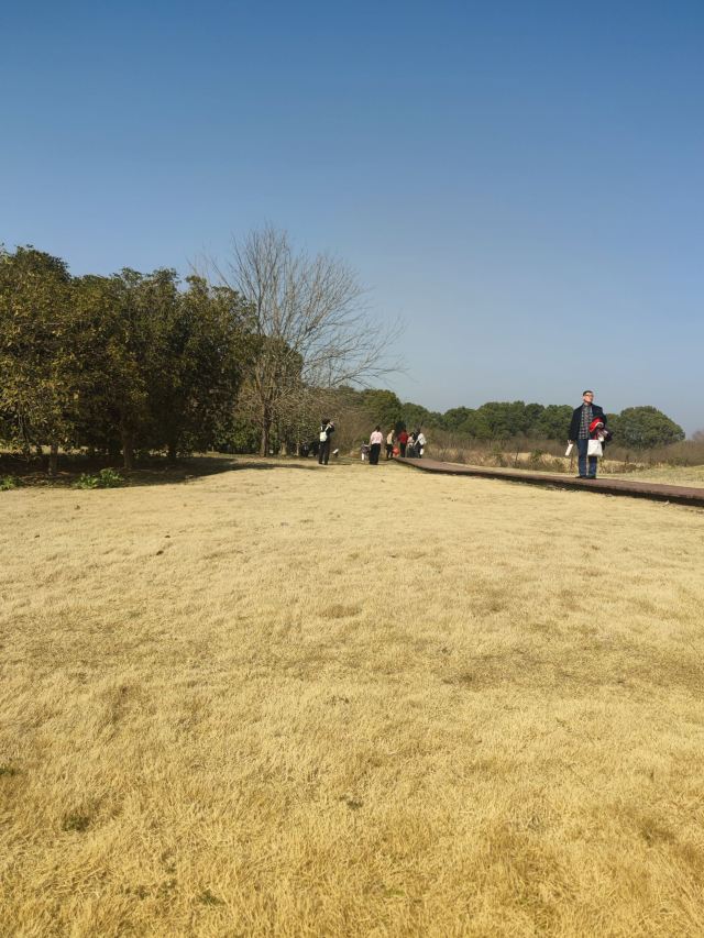 楚王车马阵景区旅行图片 3