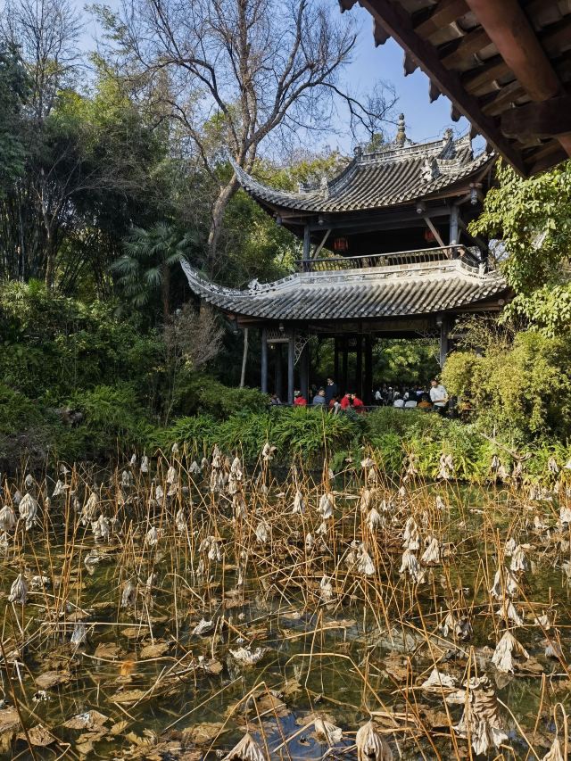 三苏祠旅行图片 4